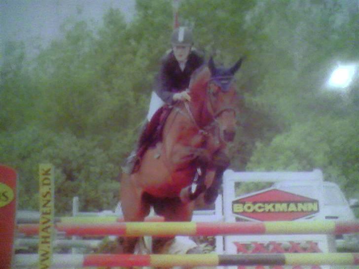 Holstener A. K´s Lasall 36 billede 19