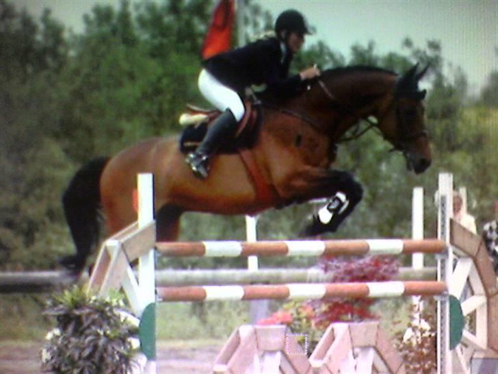 Holstener A. K´s Lasall 36 billede 20