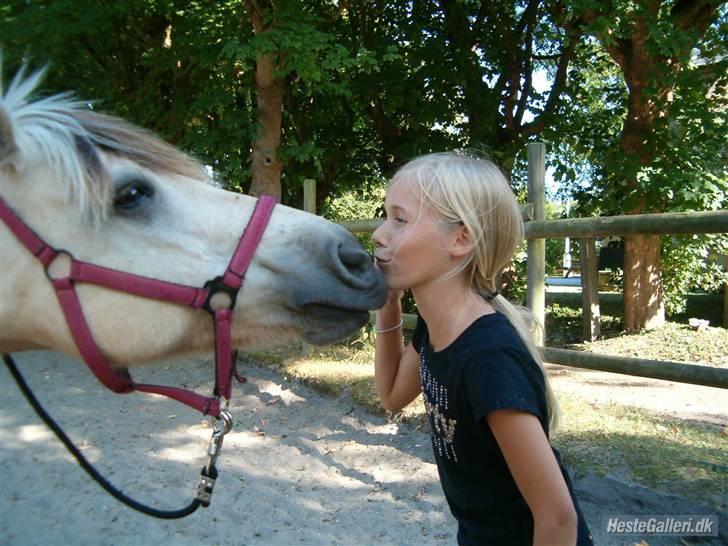 Anden særlig race Freja <3 - Fordi det vi har er ÆGTE kærlighed billede 8