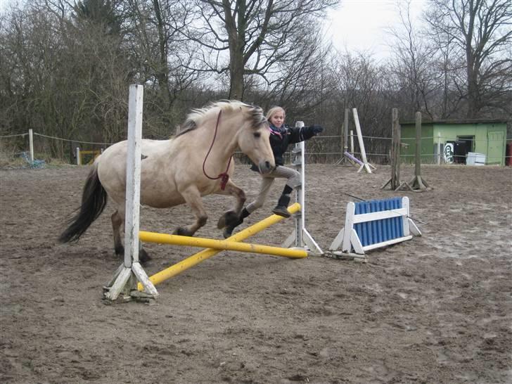 Anden særlig race Freja <3 - Fordi lige meget hvor jeg er.. er du altid ved min side! billede 9