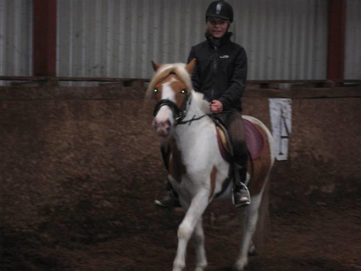 Pinto Lucky Boy - Nana og Lucky rider selv rundt for første gang, maj 2008. billede 8