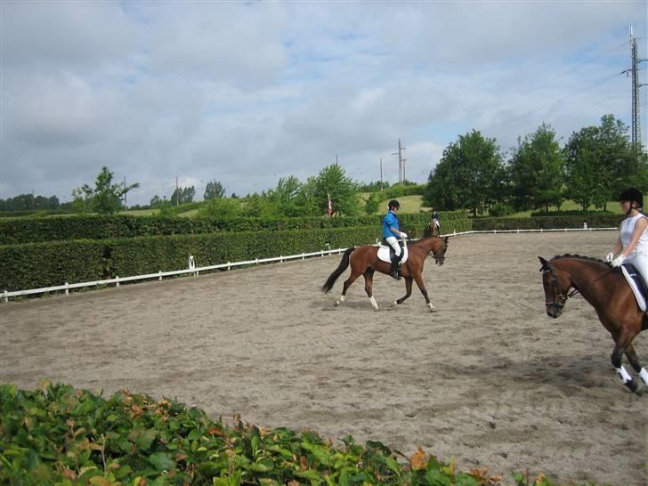 Anden særlig race Kaptajn Fox Halv A-pony - Vores 1. LA4, og vi blev nr. 1. ud af 11 . :)     C-stævne billede 6