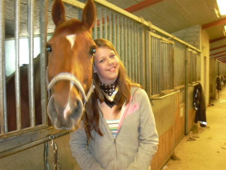 Hannoveraner Caiman RIP <3 - Hvad har du der til mig?? billede 9