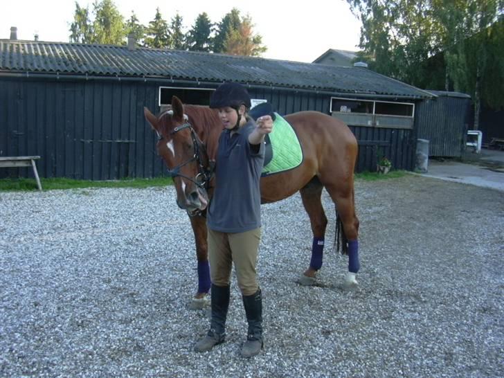 Hannoveraner Caiman RIP <3 - Kig nu i kameraet caiman - Neej! billede 13