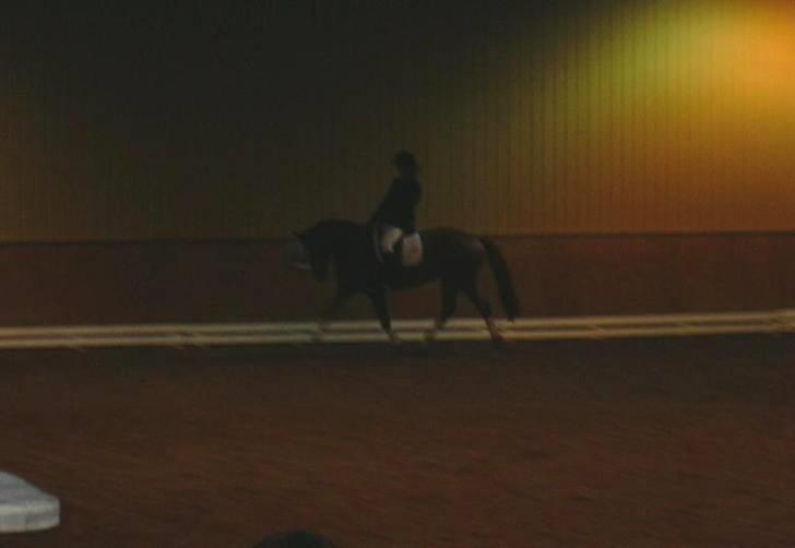 Hannoveraner Caiman RIP <3 - HIS klubmesterskab 2006 billede 16