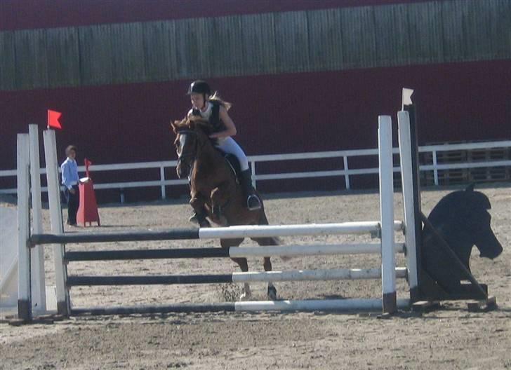 DSP Mon Ami - Bilde fra et stevne for lenge lenge siden. billede 9