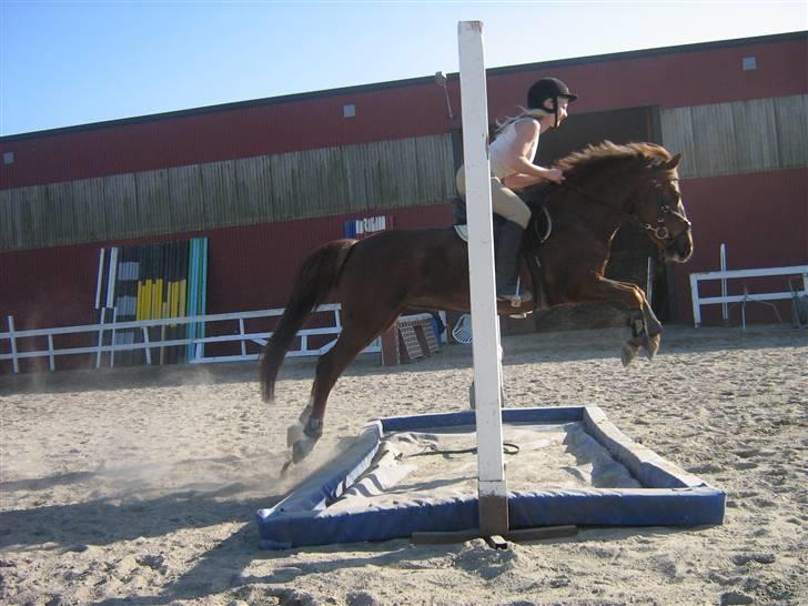 DSP Mon Ami - Over den "store" vannmatta. billede 11