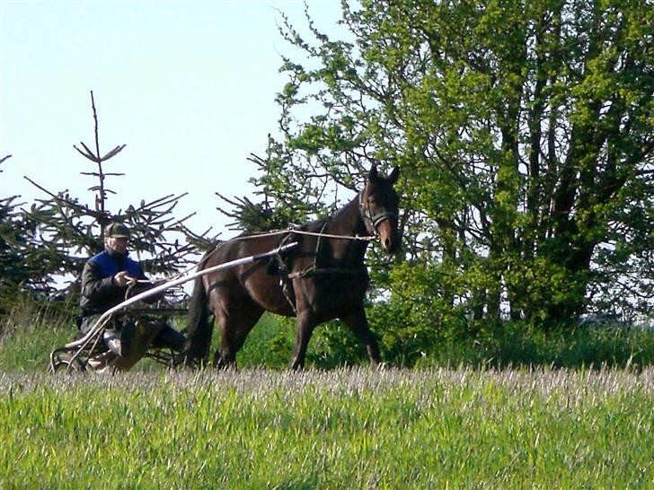 Traver  - Natasja Å - 13; Halloooooo? :D .. billede 13