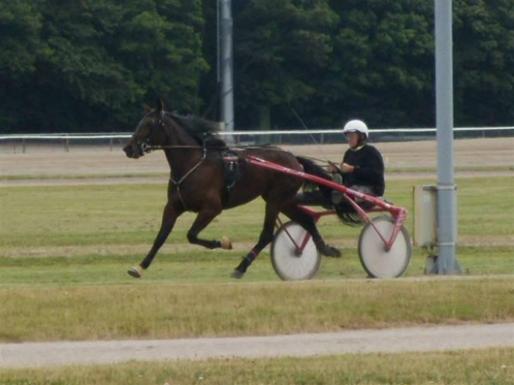 Traver  - Natasja Å - 14; Træning i Aalborg d. 8 juli :). billede 14
