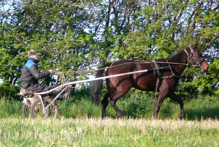 Traver  - Natasja Å - 15; Hvad siger i? (; <3 billede 15