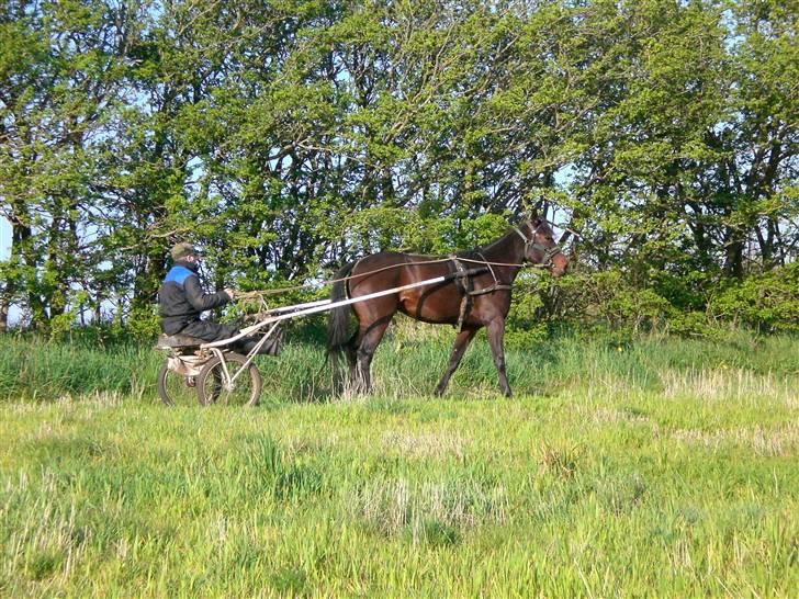 Traver  - Natasja Å - 16; Du bare så dygtig minpige(; billede 16