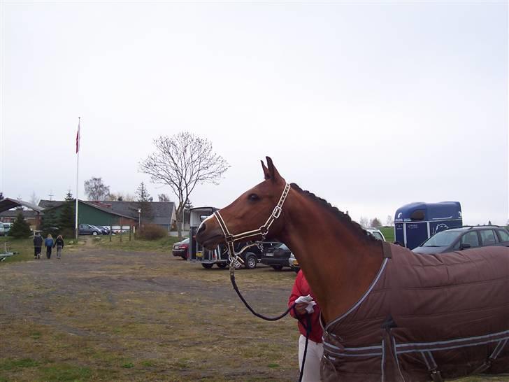 DSP Granelunds Vanity - Vanity jeg savner dig! Du er så lækker :D Once upon a time, I believe it was a tusday, when I caught you eye, we caught on to something, I hold on to the night, you looked me in the eyes, and told me you loved me. billede 9