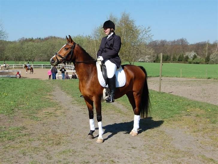 DSP Granelunds Vanity - That I´m not a princess, this ain´t a fairytail, I´ not the one you´ll sweep off her feet, lead her up the stairwell, this ain´t hollywood, this is a small town, I was a dreamer before you wendt and let me down.  billede 12