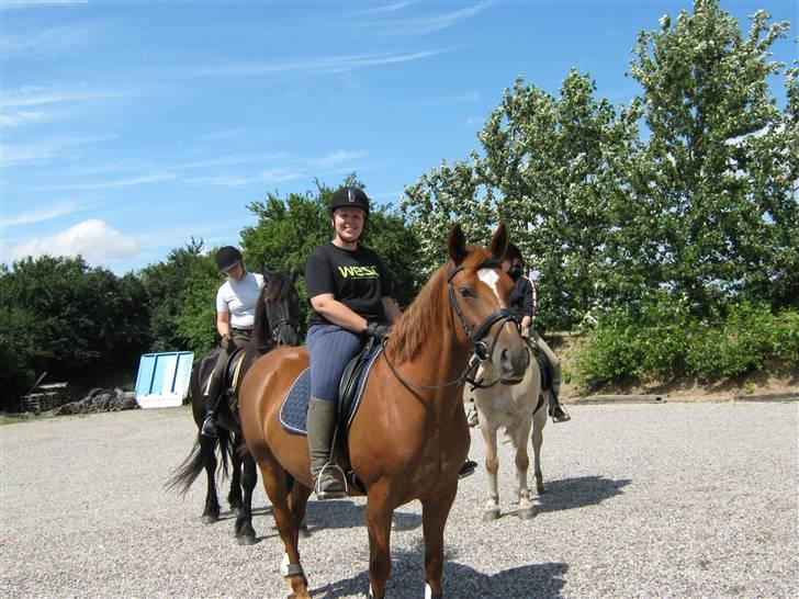 Anden særlig race Bolette <3 (solgt) - ridetur sommer 2009 billede 10