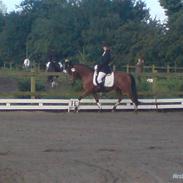 Anden særlig race . Patrick'<3