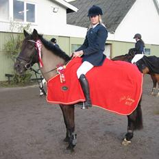 Irsk Sportspony Sirocco Stacey