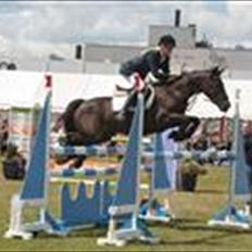 Irsk Sportspony Sirocco Stacey