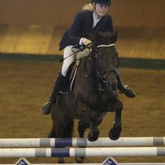 Irsk Sportspony Sirocco Stacey