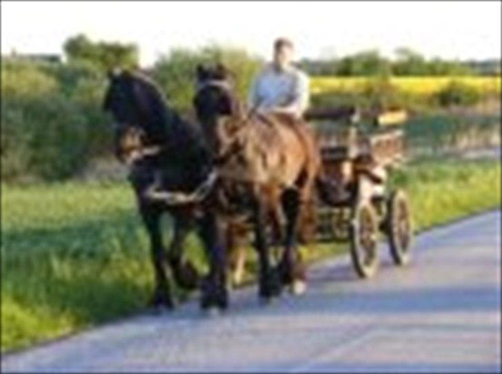 Frieser Bink - Bink og Felix 2009 billede 4