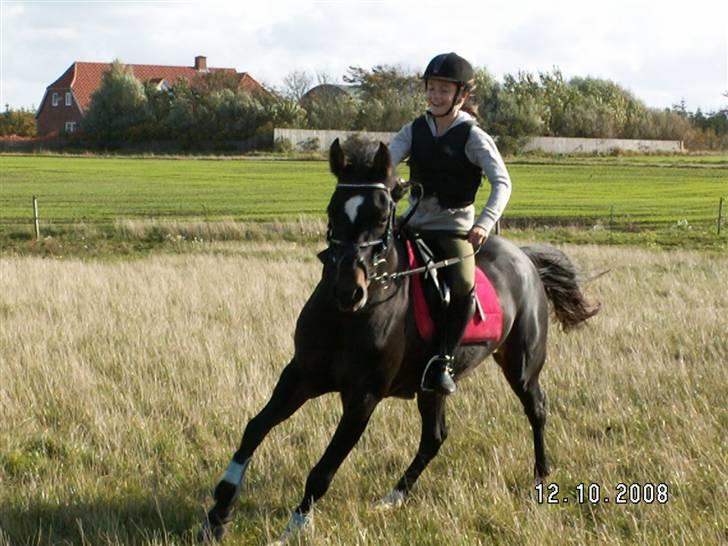 Anden særlig race chica billede 11