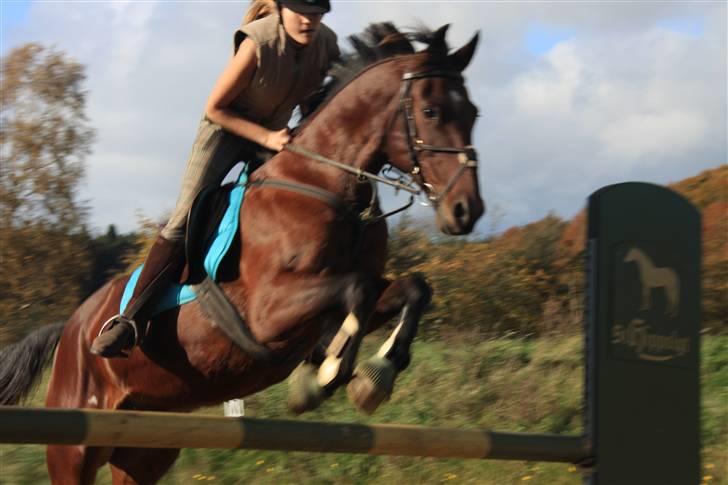 Anden særlig race De Light - vi hygger os virkelig:D billede 20