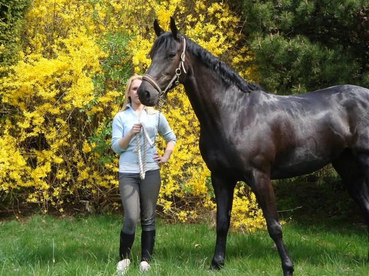 Anden særlig race Mrs. Coco † R.I.P SAVNET  - Jeg længes efter dig prinsesse <3 billede 4