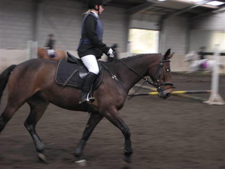 Anden særlig race Jamo - RIP 30/05 - 2011:'( billede 16