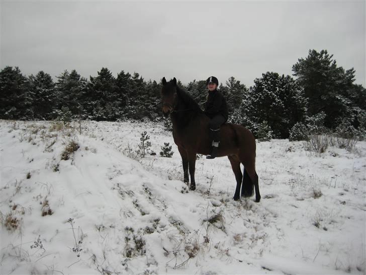 DSP Easy Touch | SAVNET - Hyggestund <3 billede 3