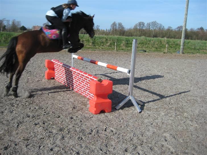 DSP Easy Touch | SAVNET - Ca. La- MB højde :P billede 4