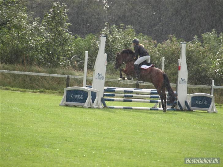 DSP Easy Touch | SAVNET - Til stævne i Hjørring, LC eller LB, ligger fint over :D <3 billede 5