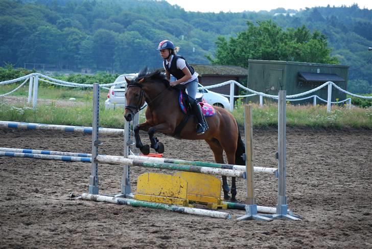 DSP Easy Touch | SAVNET - Bo bak uge 29 ;o) taget af Liv Rytter, tak! billede 6