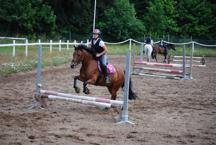 DSP Easy Touch | SAVNET - Cavalletihop ;D taget af Liv Rytter, tusind tak billede 9