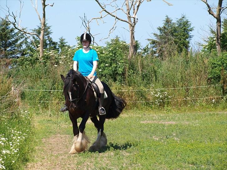 Tinker Logan  billede 6