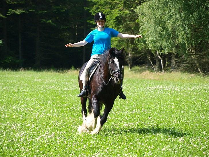 Tinker Logan  billede 7