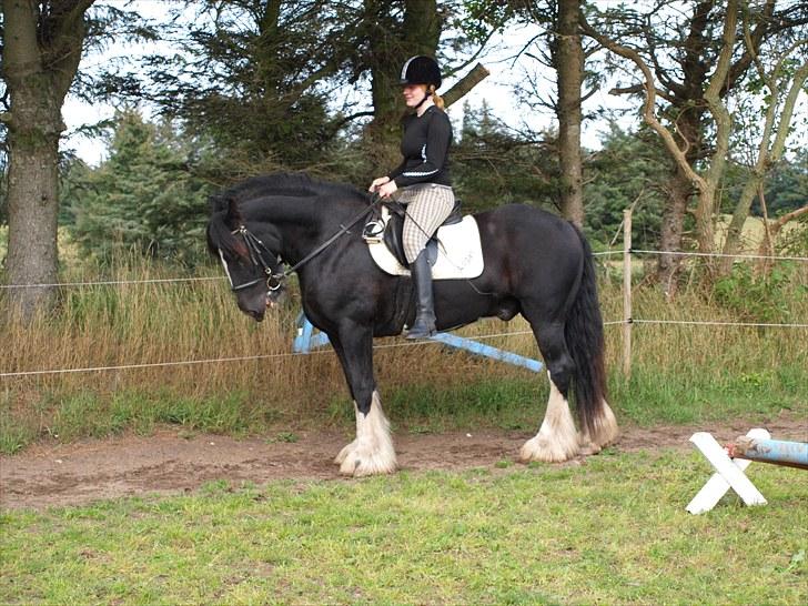 Tinker Logan  - Fin parade :) billede 12