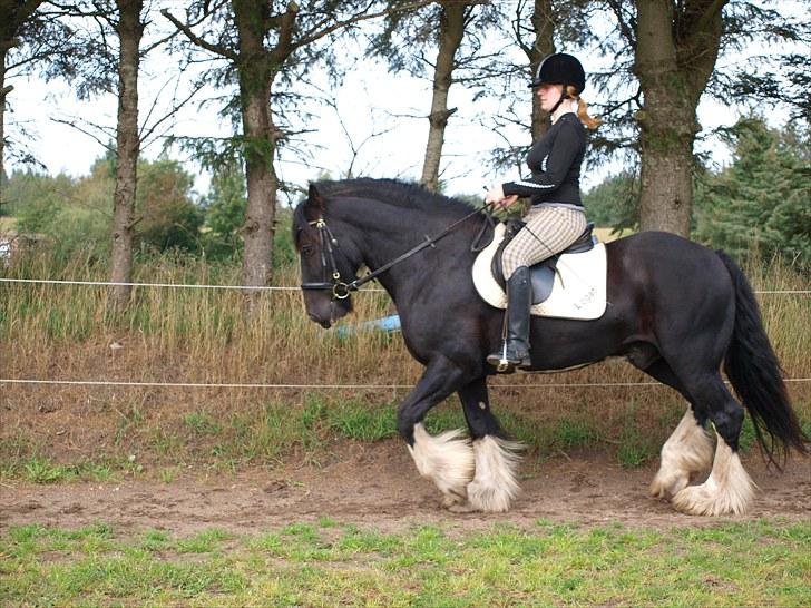 Tinker Logan  billede 13