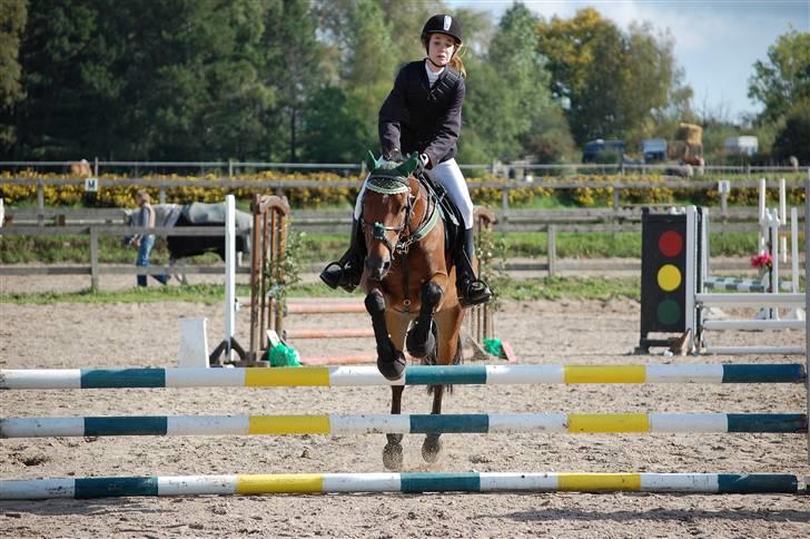 New Forest Don Juan <3 *red engang* - 14# #NYT# Springstævne på Stutsborg, 70 cm. jeg ser liidt dum ud xD billede 14