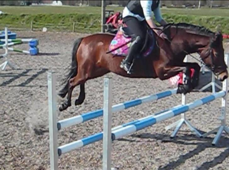 DSP Easy Touch | SAVNET - Min superpony! :D billede 11