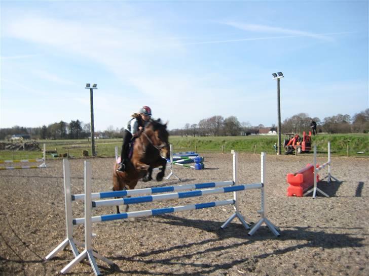 DSP Easy Touch | SAVNET - Ma højde xD billede 13