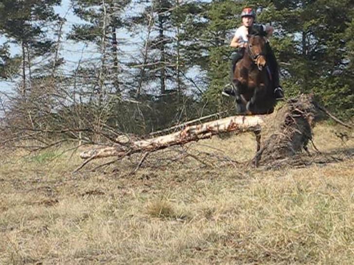 DSP Easy Touch | SAVNET - Terrænspringning L: billede 14