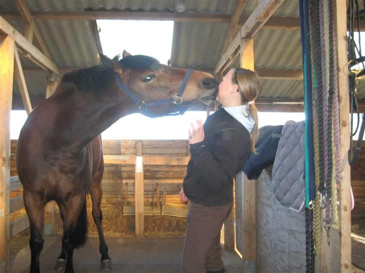 DSP Easy Touch | SAVNET - Kissssss! billede 15