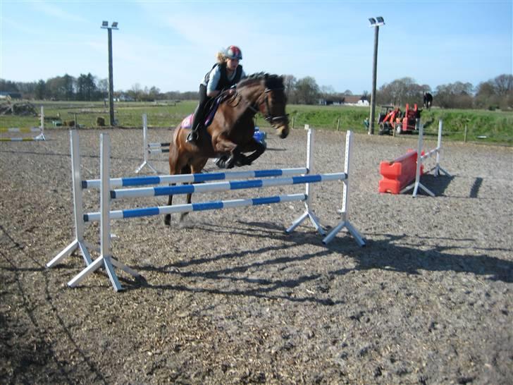 DSP Easy Touch | SAVNET - 105 cm, lille MA højde billede 17