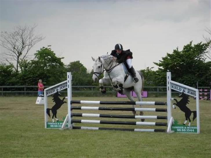 Shagya Araber (SH) Eminent Bajar billede 2