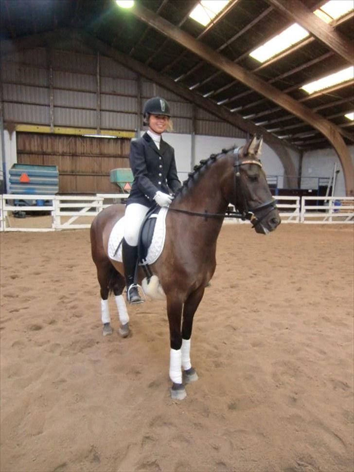 Hollandsk Sportspony Stuntman - Stunt og Therese under opvarmningen til dressurstævnet på Suså Ridelejr Sommer 2010 billede 19