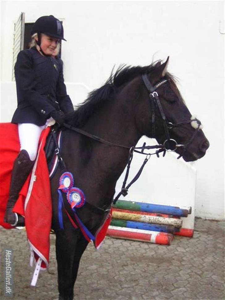Hollandsk Sportspony Stuntman - Astrid og Stunt med deres første to sløjfer til deres første stævne på MAK d. 8. november 2009 billede 20