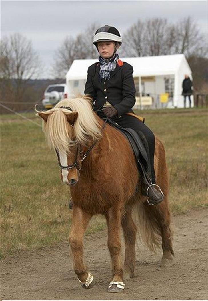 Islænder Gisli fra Thorsvighus-RIP - I Love You <3 Gisli og jeg i B-finale til DSU 08 billede 9