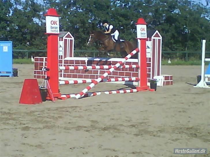 Hollandsk Sportspony Carolien - Dygtig Mulle!:D billede 4