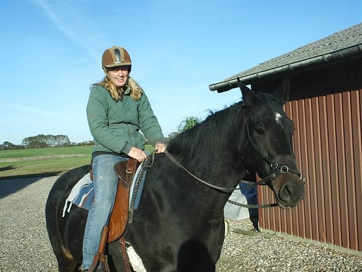 Anden særlig race Cassiopaia *aflivet* billede 6