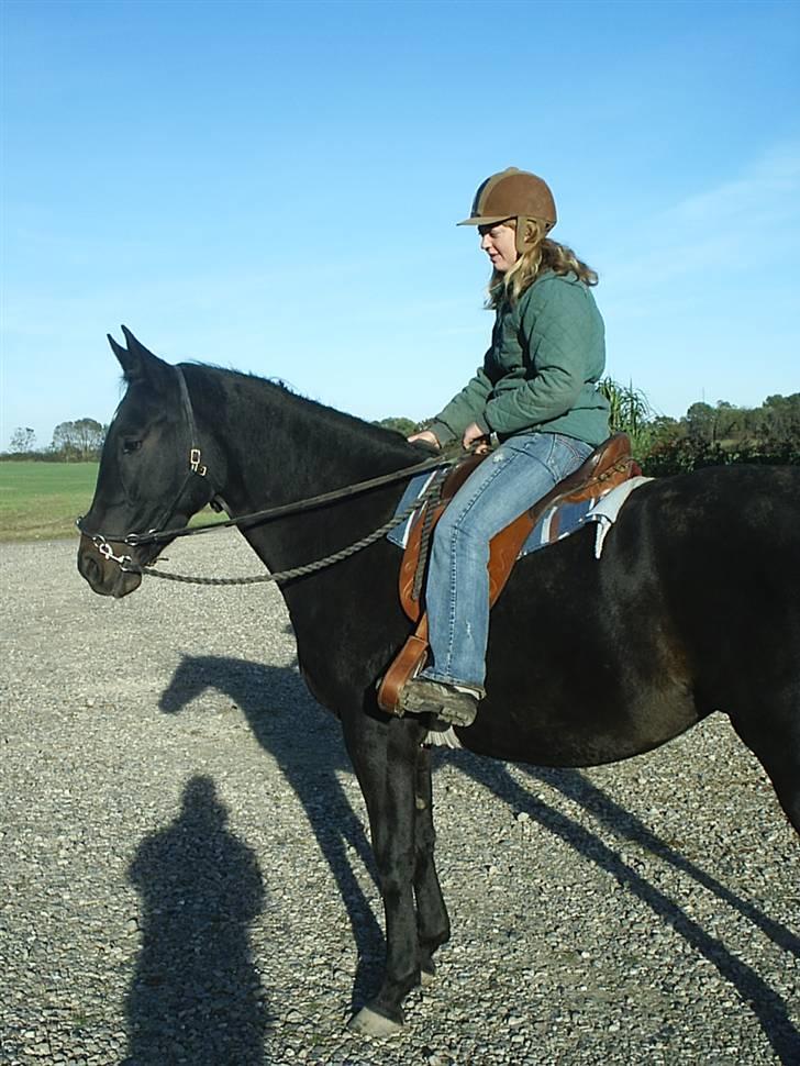 Anden særlig race Cassiopaia *aflivet* billede 7