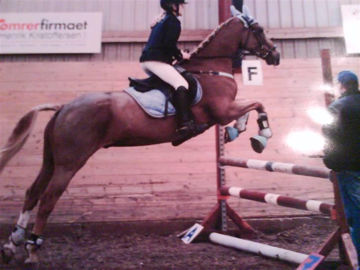 Anden særlig race The Showman - lidt langt afset<3 men sprang skide godt i den klasse<3 billede 8